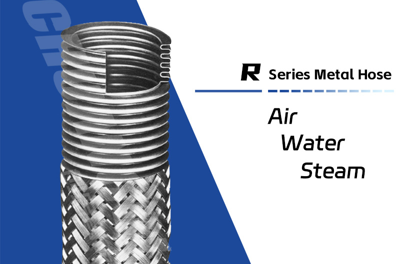 R型悟空体育首页
